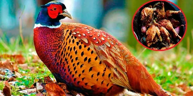 <strong>Créditos: GLR / El Popular</strong>   