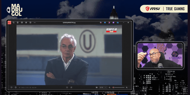 mr. peet universitario palmeiras