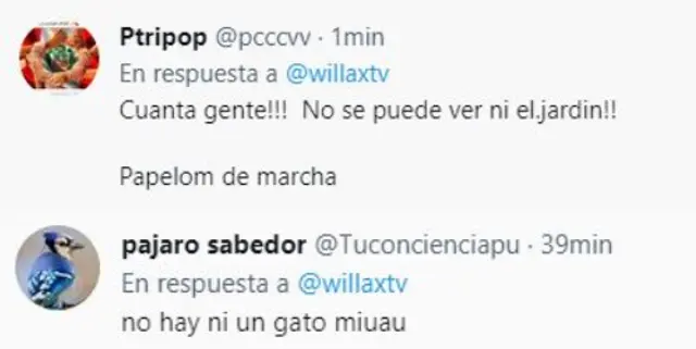 willax