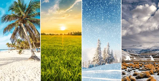 test de personalidad