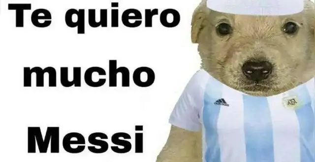 memes memes