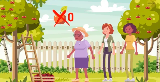 acertijo visual acertijo viral