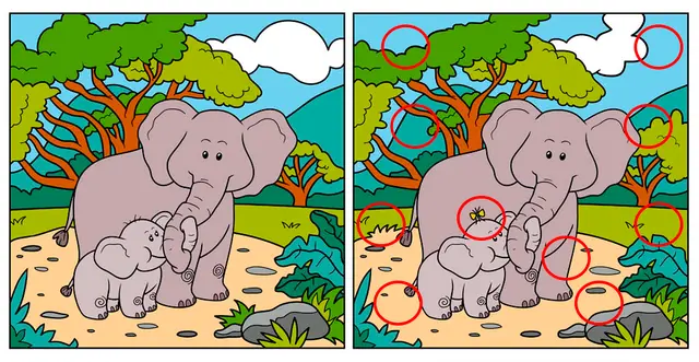 reto visual reto visual