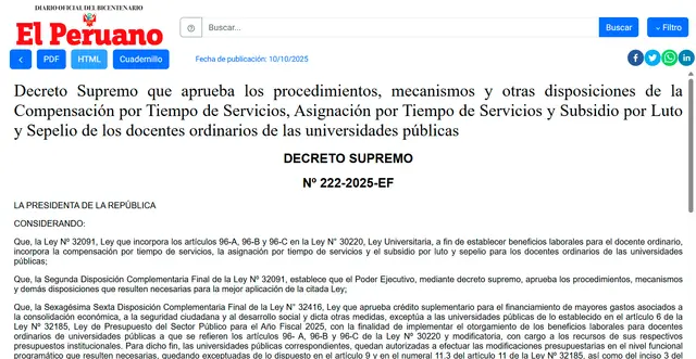 docentes universitarios