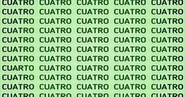 Reto visual completo