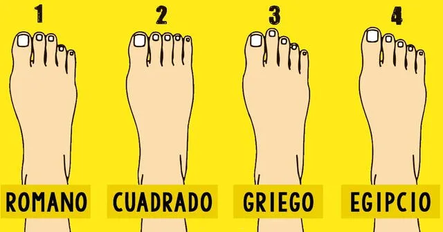 ¿Qué forma de los dedos se asemeja más a los tuyos? | Fuente:iProfesional