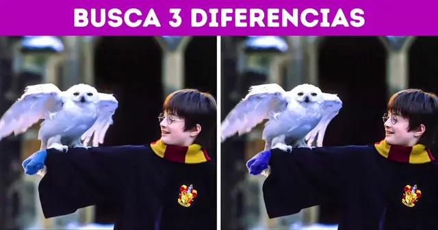 Encuentra las 3 diferencias en el acertijo visual Encuentra las 3 diferencias en el acertijo visual