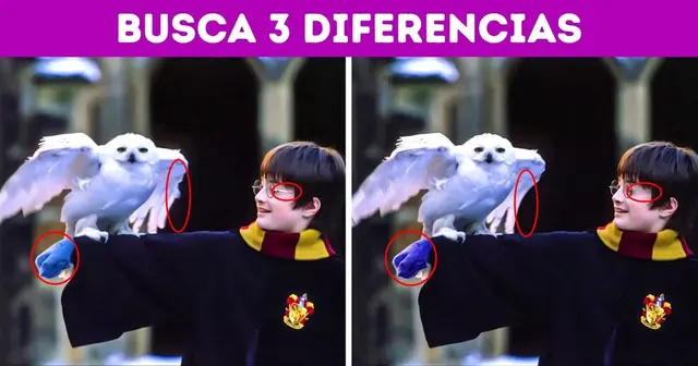 Solución al acertijo visual Solución al acertijo visual