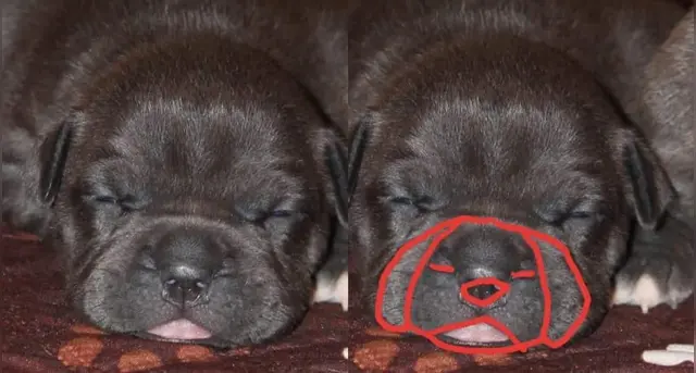 retos visuales
