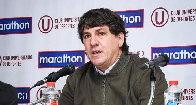 jean ferrari universitario