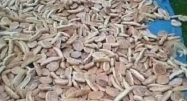 Reto visual Reto visual