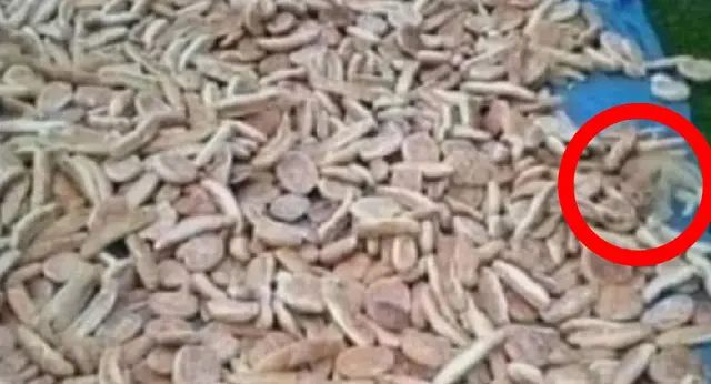 reto visual reto visual