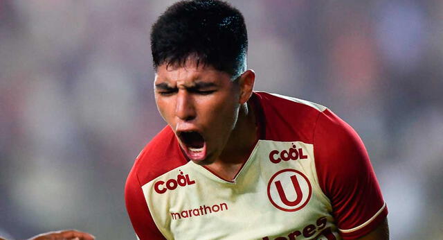 universitario