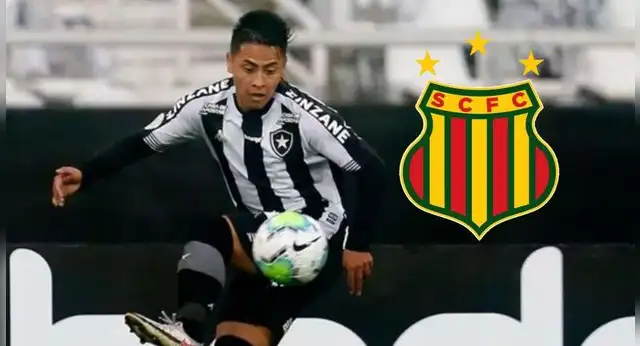 alexander lecaros alexander lecaros