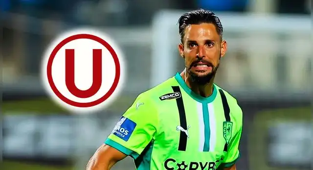 Francisco Sol, Universitario