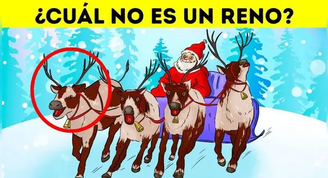 acertijo visual acertijo visual