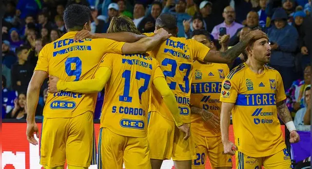 Foto: Tigres Foto: Tigres