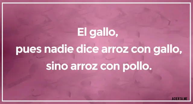 acertijo visual acertijo visual