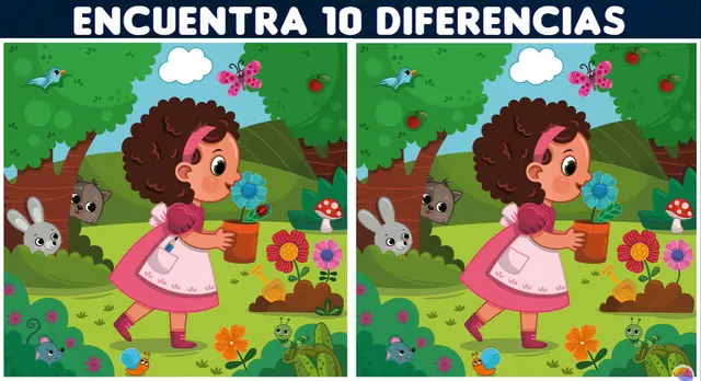 retos visuales