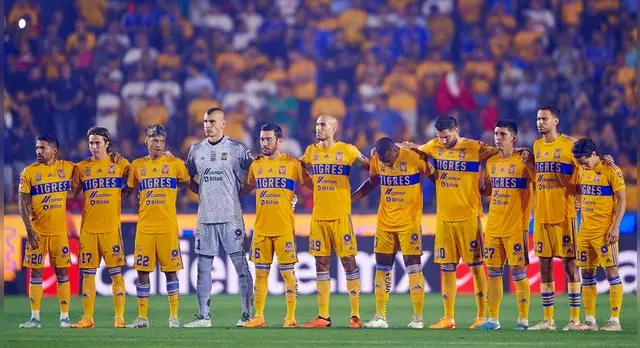 tigres