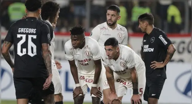 universitario universitario