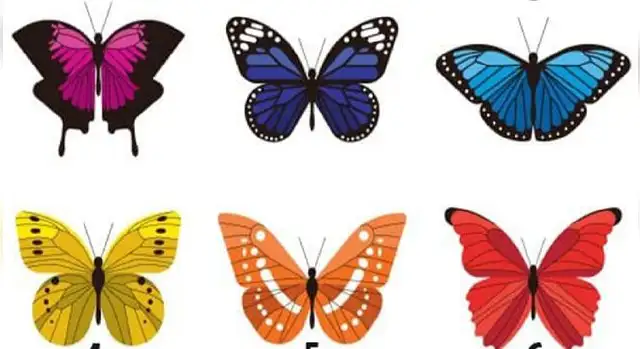 test de personalidad