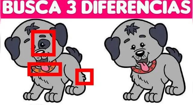 Reto visual Reto visual