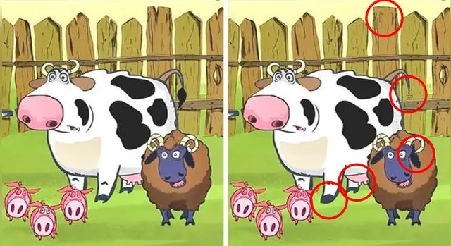 Reto visual Reto visual