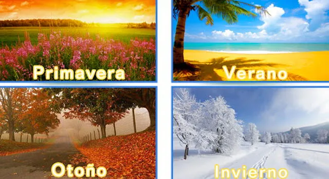 test de personalidad