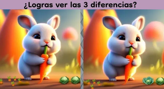 Reto visual