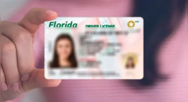 Licencia de conducir Licencia de conducir