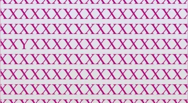 Reto visual Reto visual