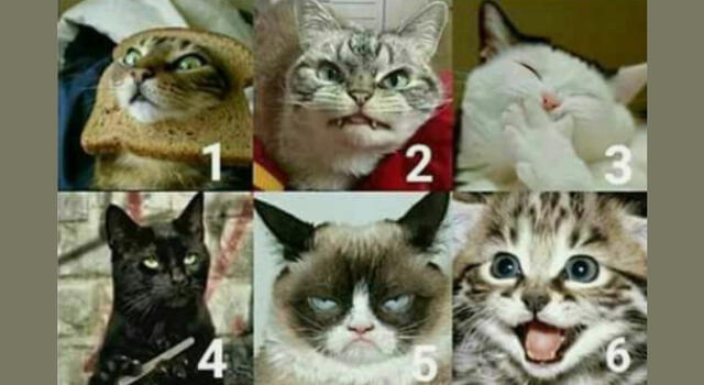 TEST DE PERSONALIDAD