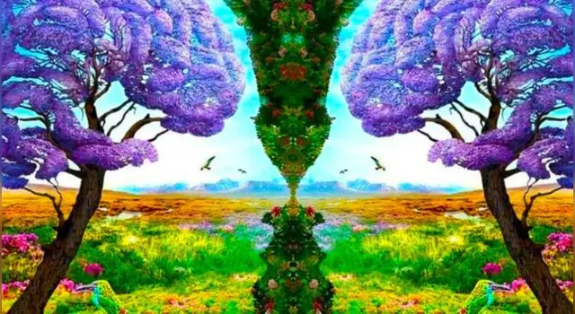 test de personalidad