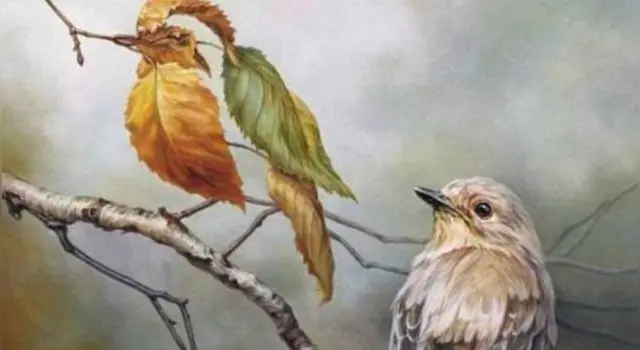 test de personalidad