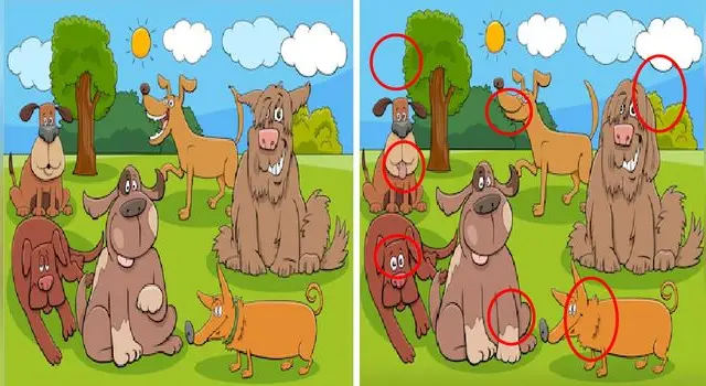 reto visual reto visual