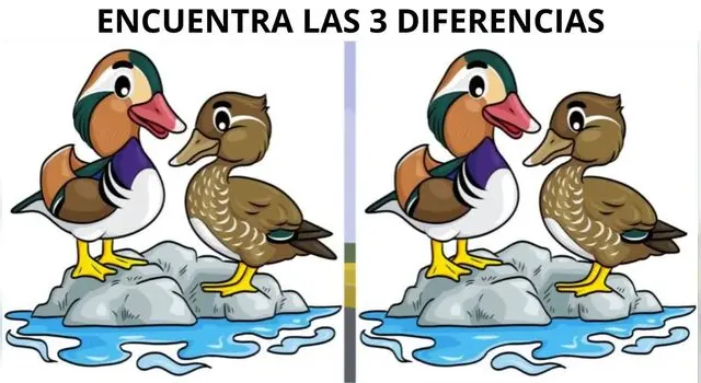 reto visual