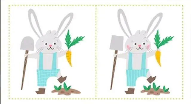 Reto visual Reto visual