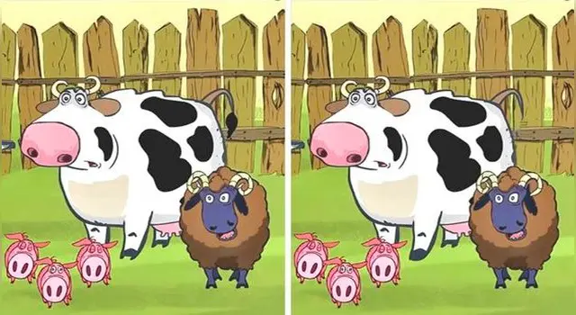 Reto visual Reto visual