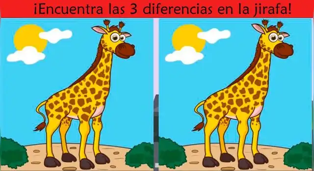 reto visual