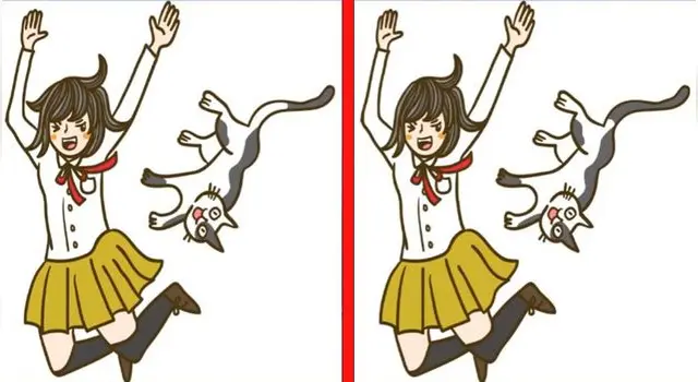 reto visual