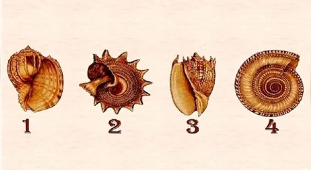 test de personalidad test de personalidad