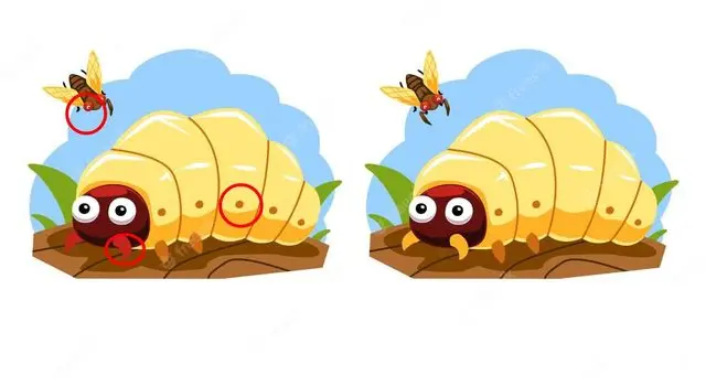 reto visual reto visual