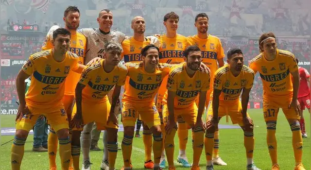 tigres