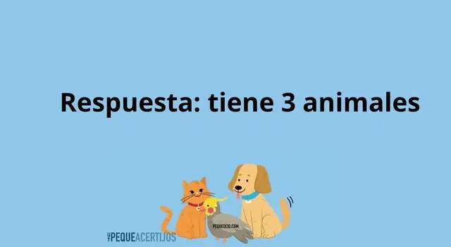 acertijo visual