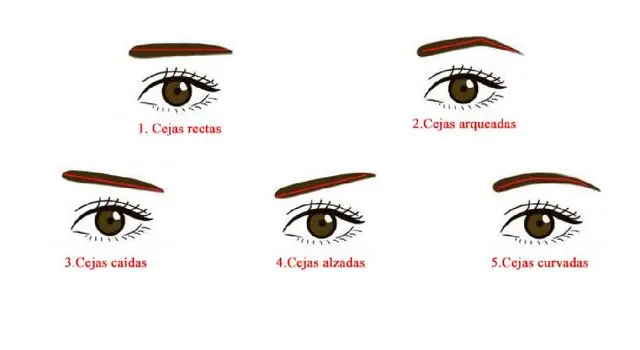 Test de personalidad
