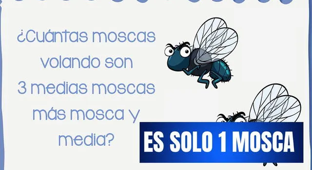 Acertijo visual