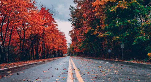 Otoño. Otoño.