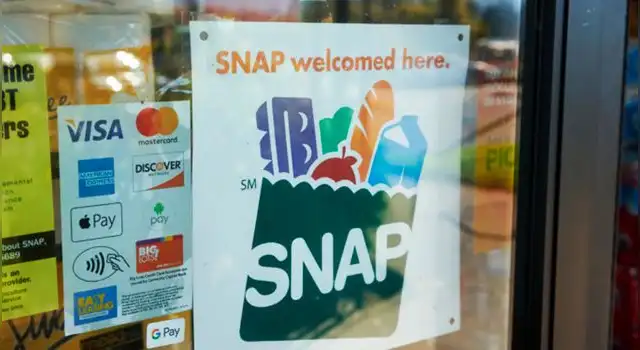 Snap. Snap.
