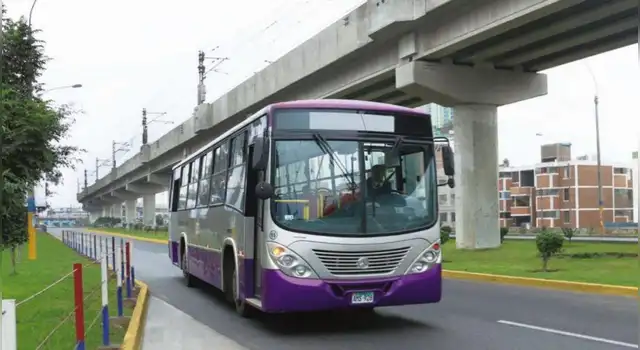 Corredor Morado Corredor Morado